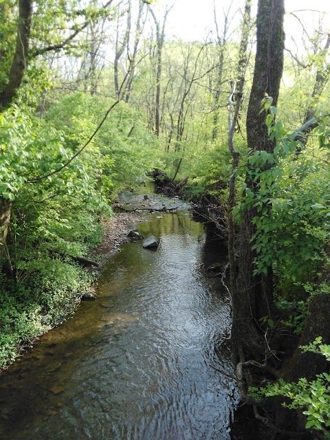 Warner Park Nature Center